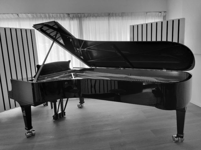 http://www.studiokraaikant.be/wp-content/uploads/2020/09/Steinway-zwartwit-640x480.jpg